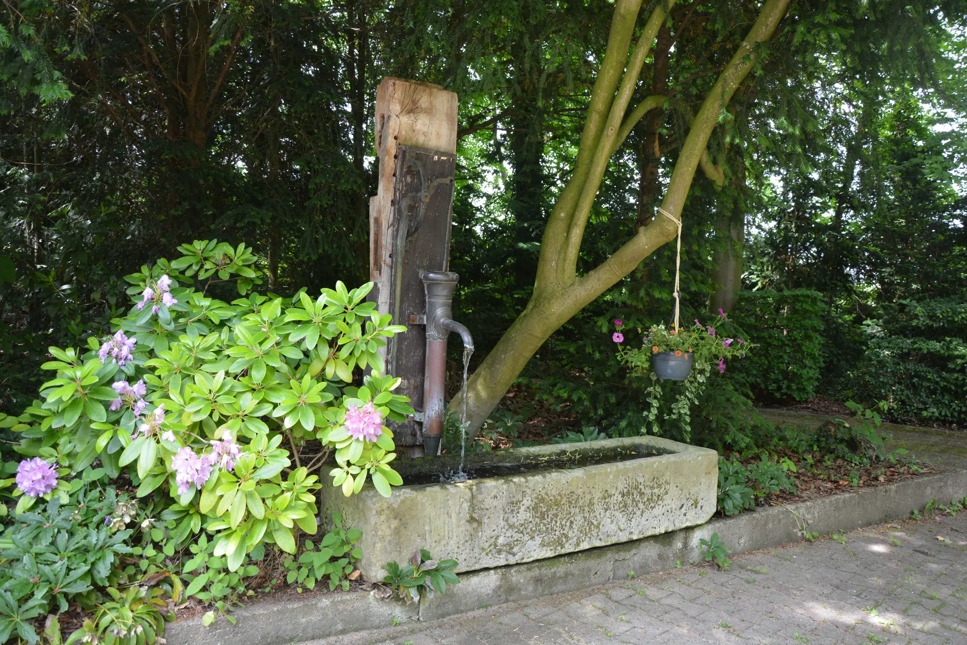 Alter Steintrog mit Schwengelpumpe im Garten
